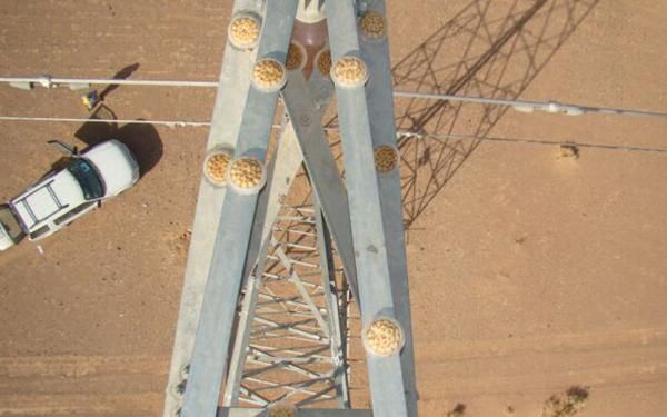 Protecao de postes electrico contra as aves